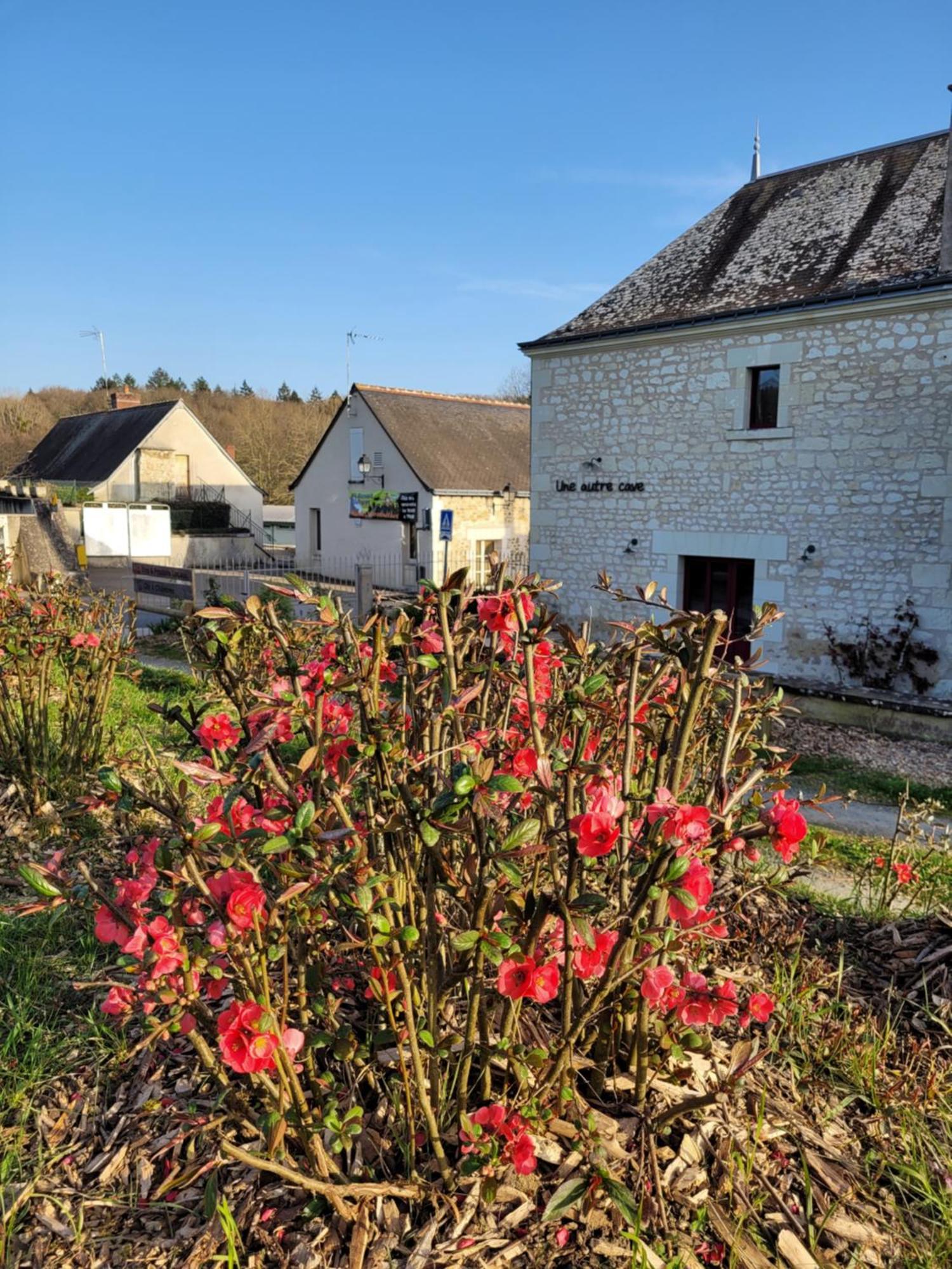 Bulle De Campagne A Saint Benoit La Foret Dış mekan fotoğraf