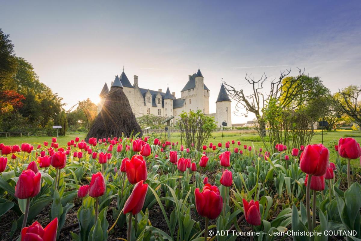 Bulle De Campagne A Saint Benoit La Foret Dış mekan fotoğraf